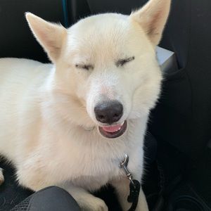 Meet your Posher, Ericka